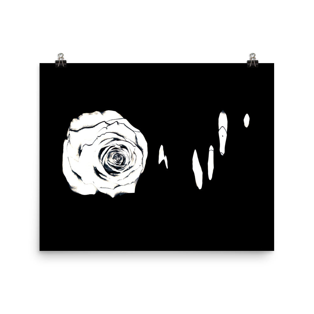 Silver Rose Collection no. 3 Scanography Matte Photo Paper Print