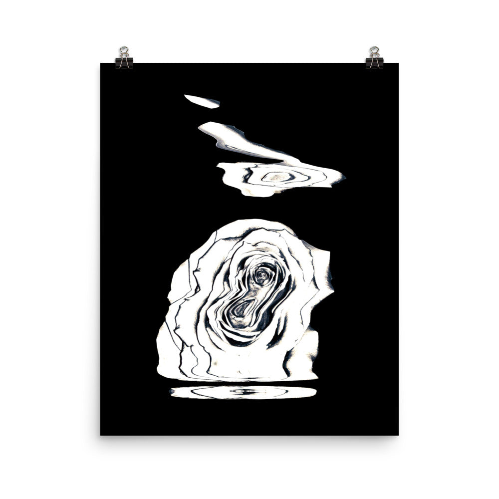 Silver Rose Collection no. 4 Scanography Matte Photo Paper Print