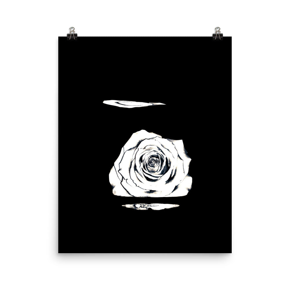 Silver Rose Collection no. 5 Scanography Matte Photo Paper Print