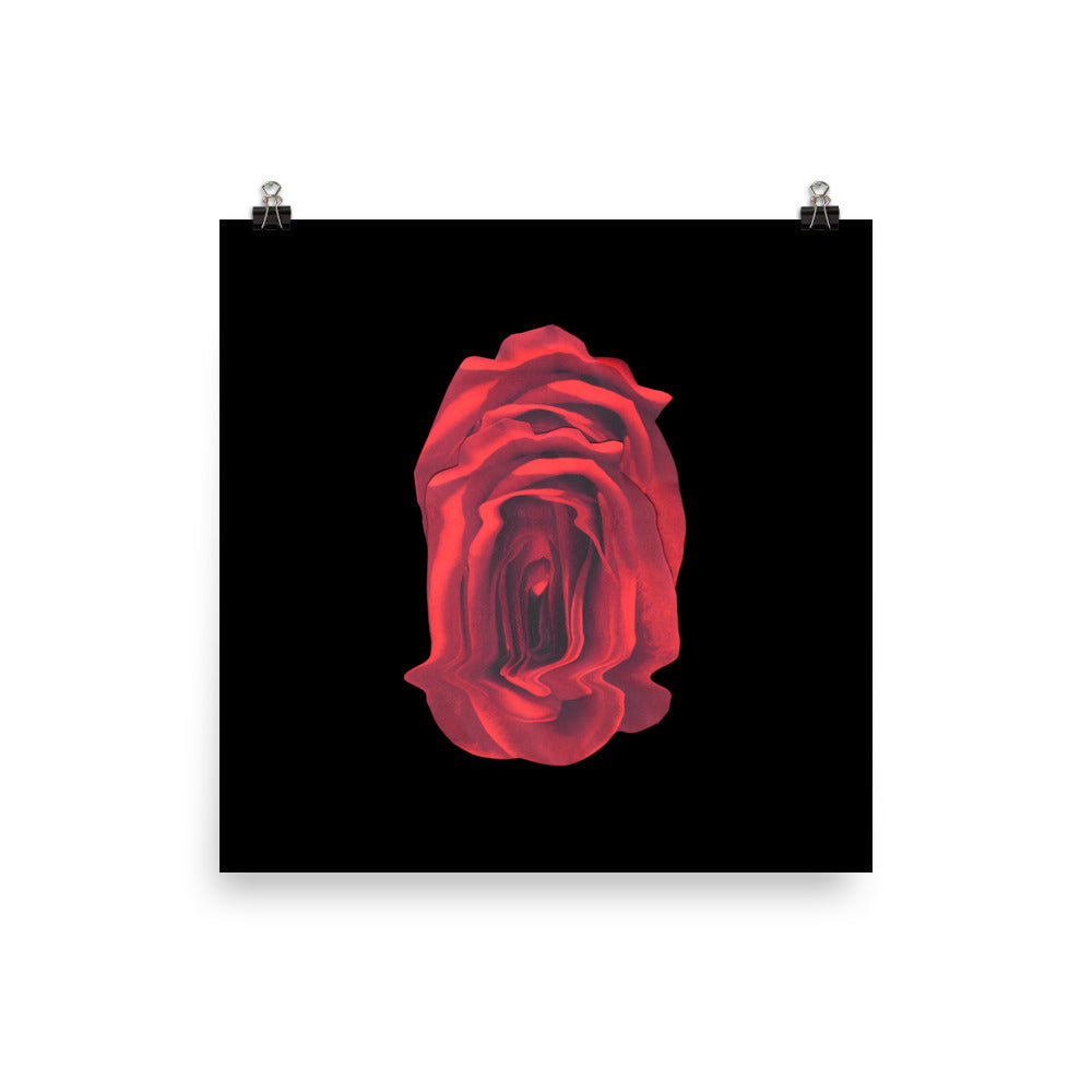 Rose Collection - no. 4 Scanography Matte Photo Paper Print