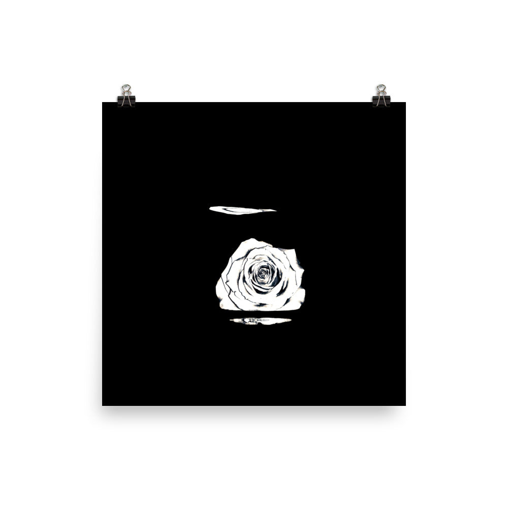 Silver Rose Collection no. 5 Scanography Matte Photo Paper Print