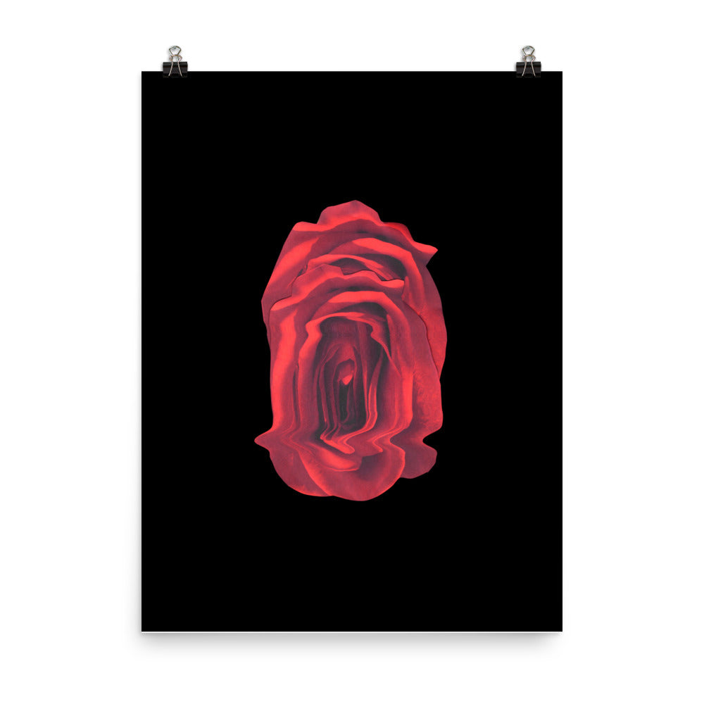 Rose Collection - no. 4 Scanography Matte Photo Paper Print