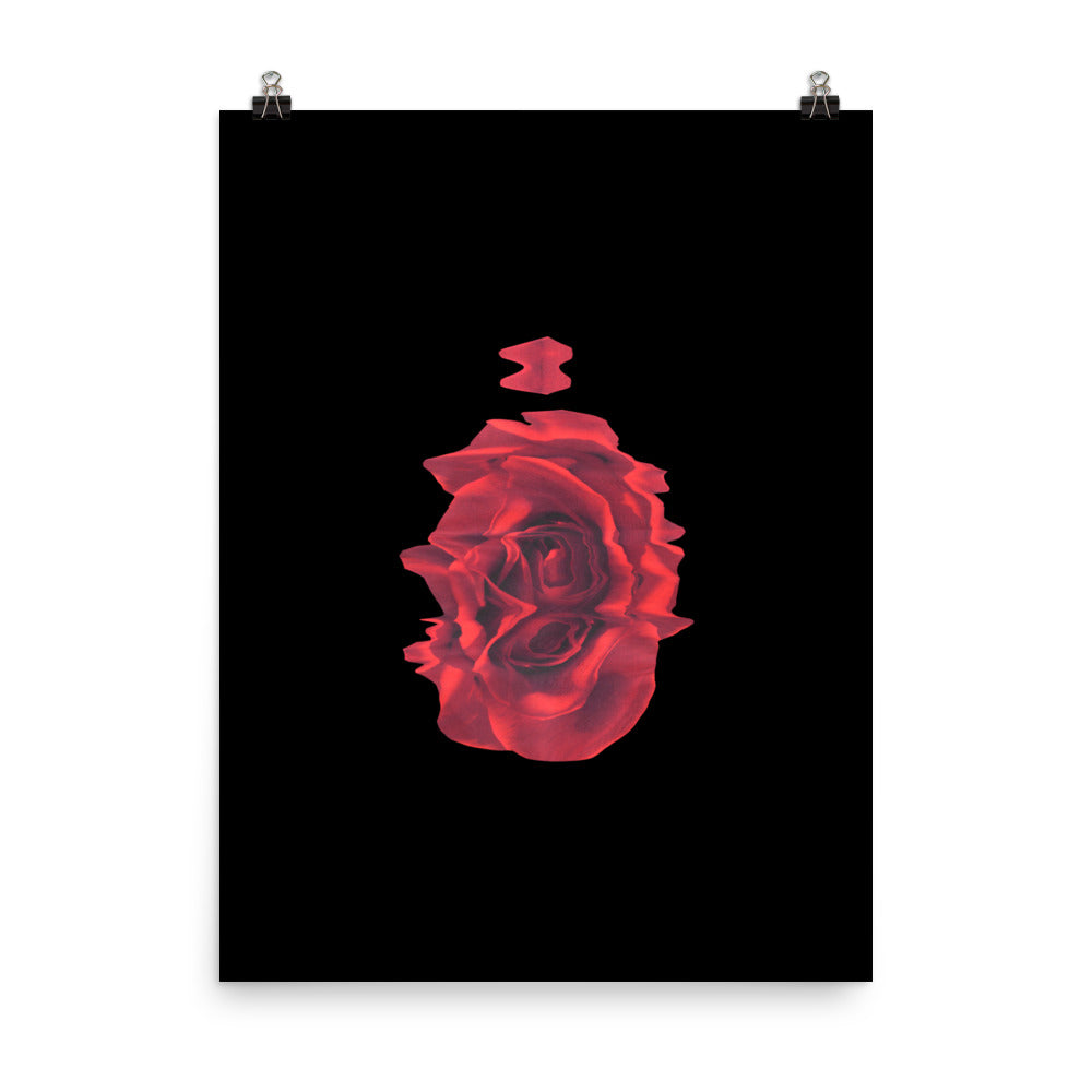 Rose Collection - no. 5 Scanography Matte Photo Paper Print
