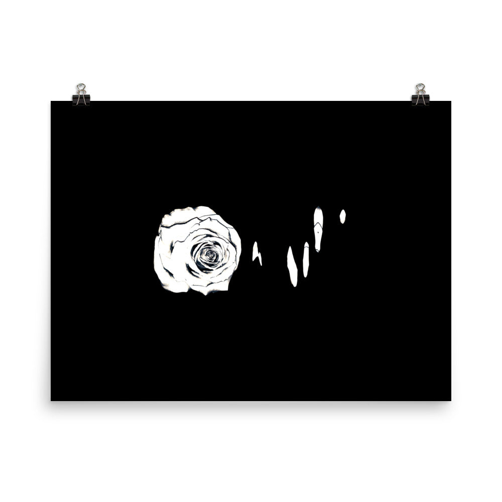 Silver Rose Collection no. 3 Scanography Matte Photo Paper Print