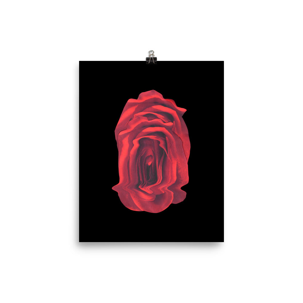 Rose Collection - no. 4 Scanography Matte Photo Paper Print