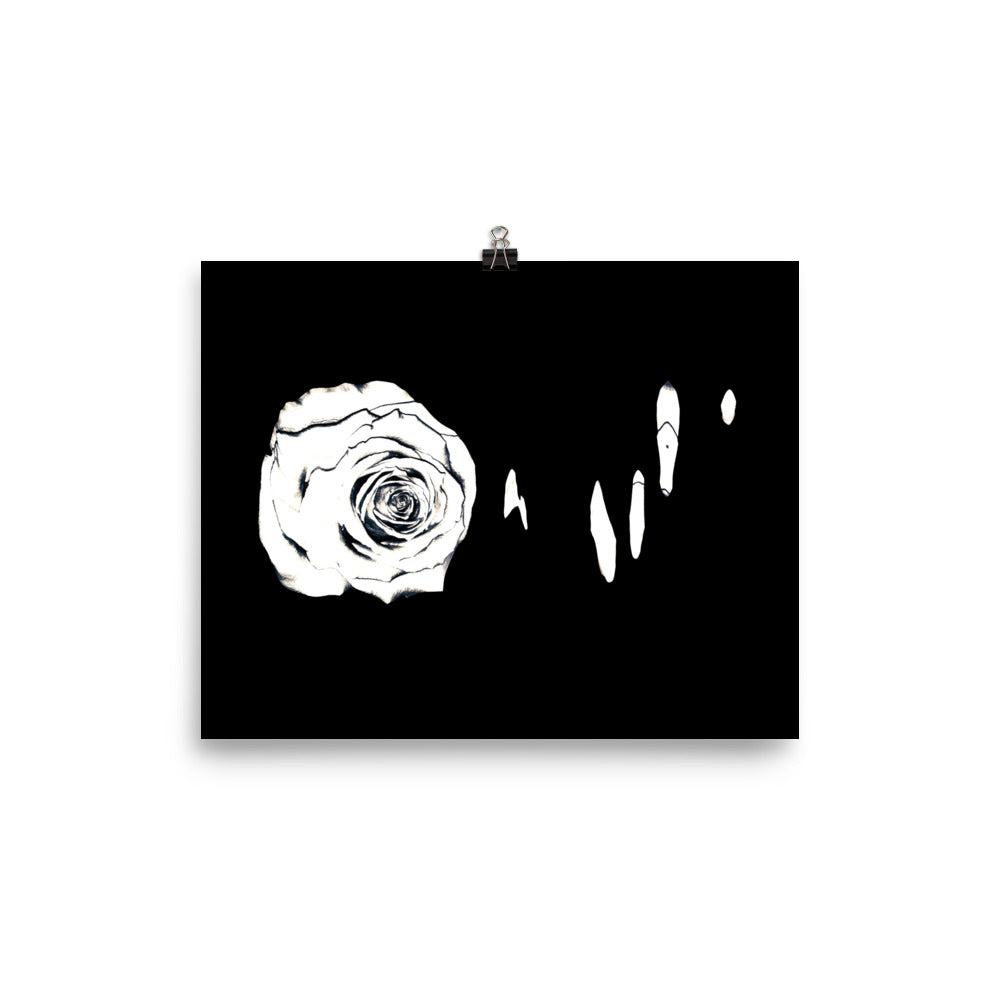 Silver Rose Collection no. 3 Scanography Matte Photo Paper Print