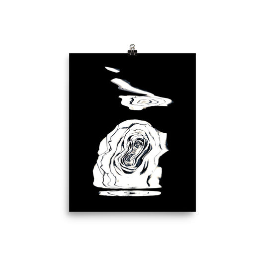 Silver Rose Collection - no. 4 Scanography Matte Photo Paper Print