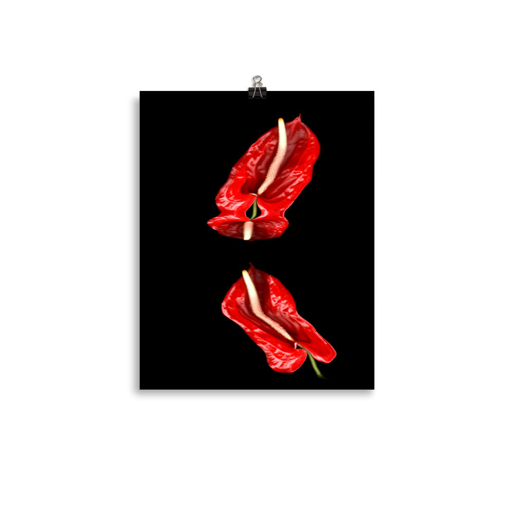 Anthurium Plant Scanography Photo Paper Print