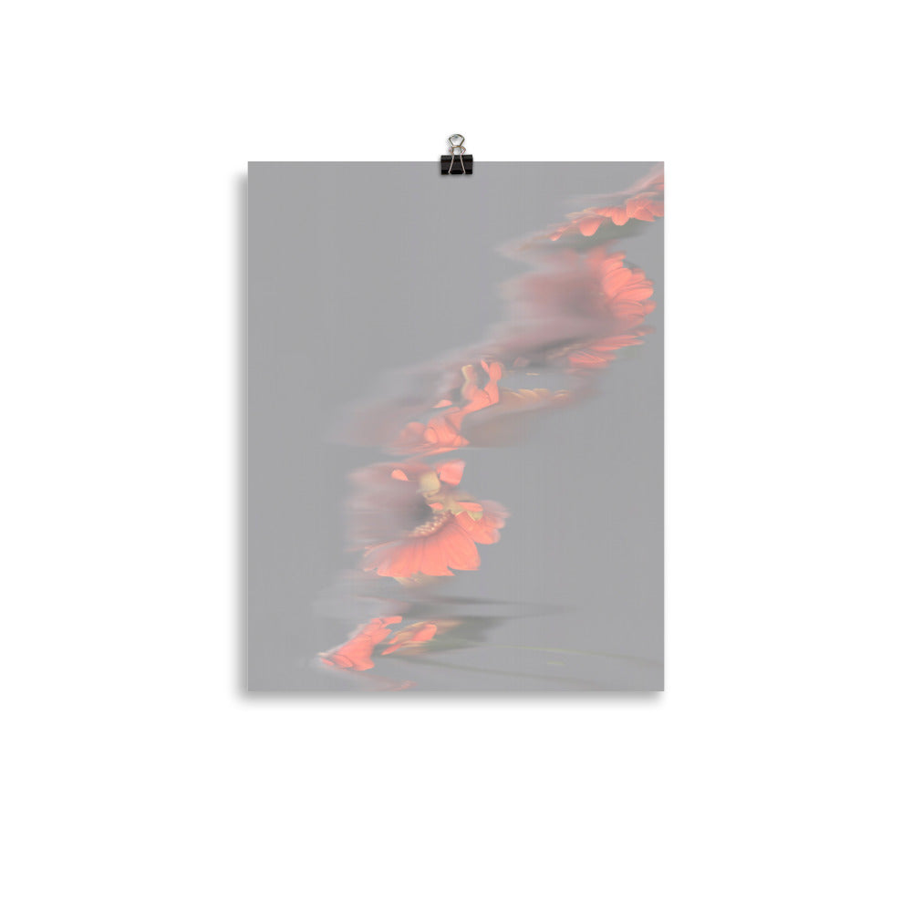 Gerbera Grey Sky Scanography Premium Luster Photo Paper Print