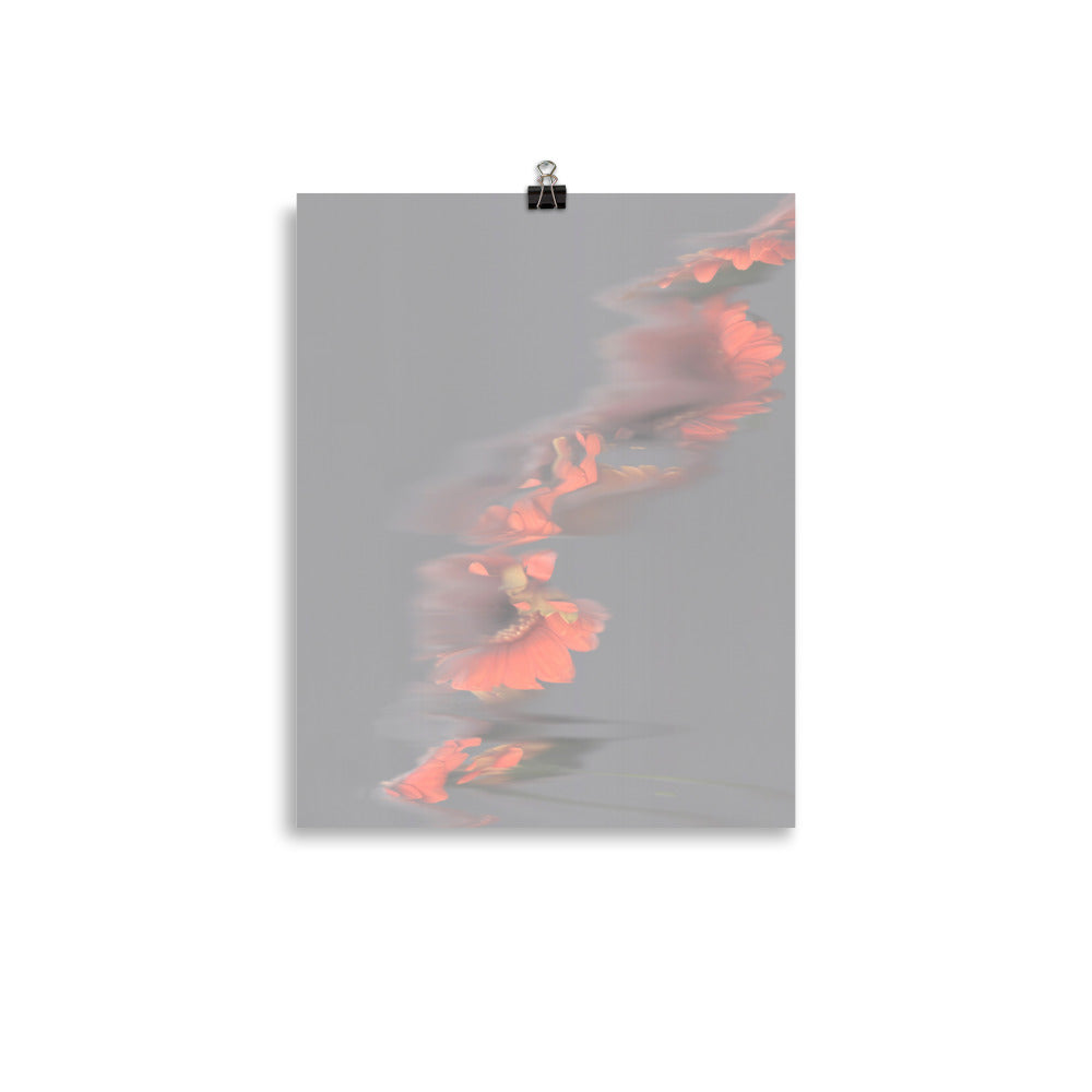 Gerbera Grey Sky Scanography Photo Paper Print