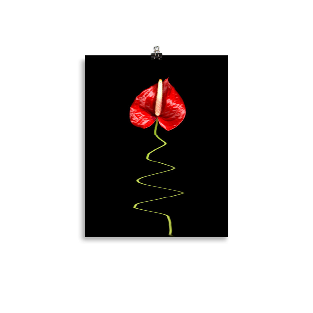 A Dance Anthurium Plant Scanography Photo Paper Print