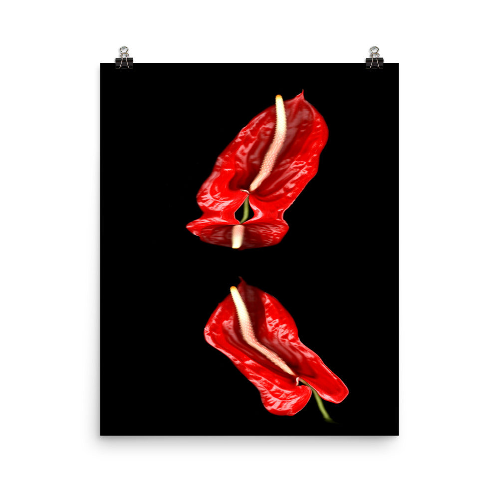 Anthurium Plant Scanography Photo Paper Print