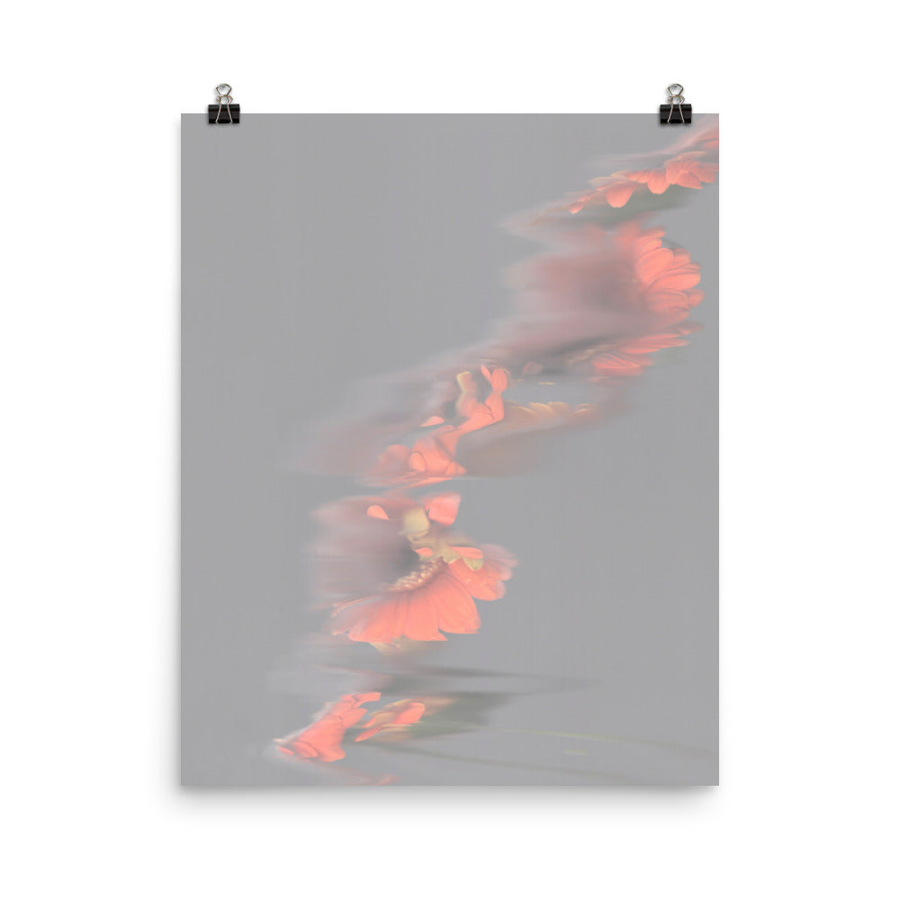 Gerbera Grey Sky Scanography Premium Luster Photo Paper Print
