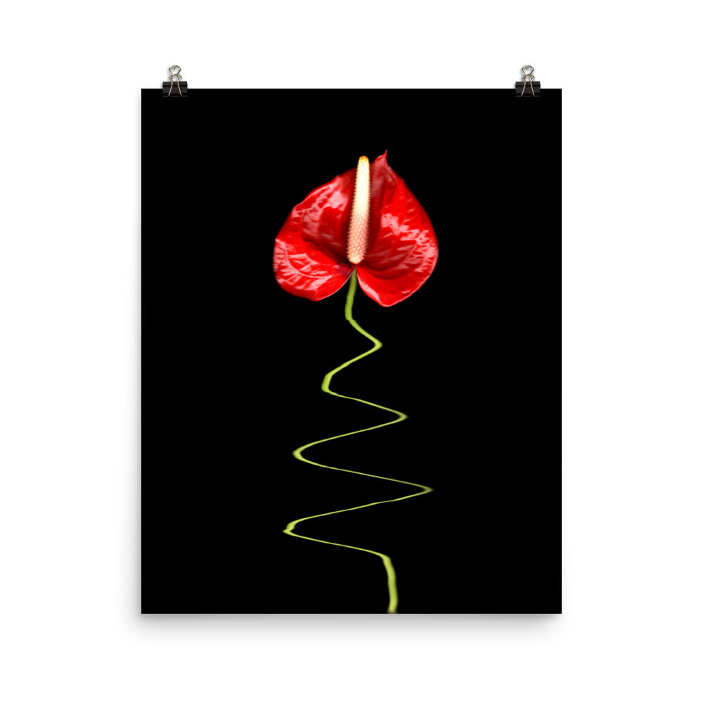 A Dance Anthurium Plant Scanography Photo Paper Print