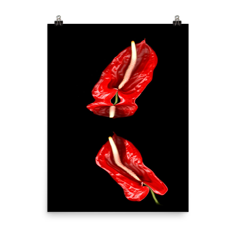 Anthurium Plant Scanography Photo Paper Print