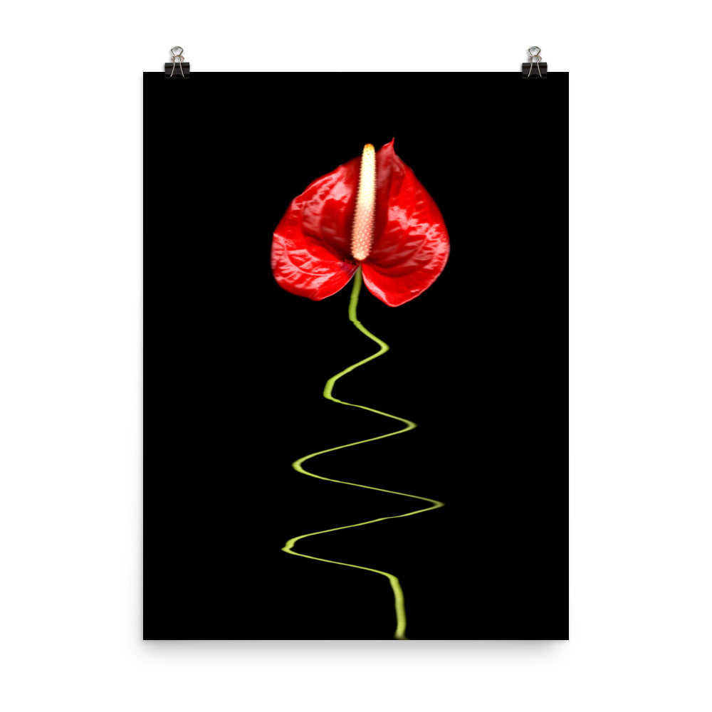 A Dance Anthurium Plant Scanography Photo Paper Print