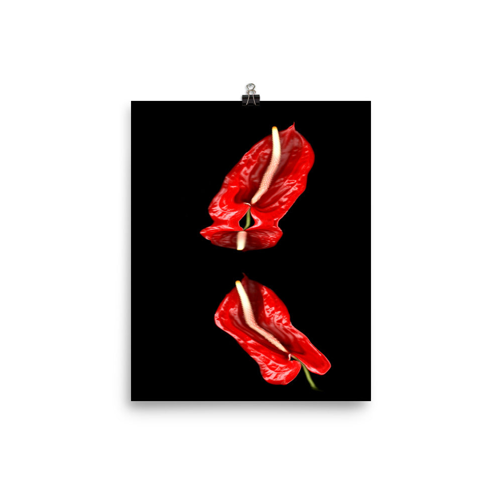 Anthurium Plant Scanography Photo Paper Print