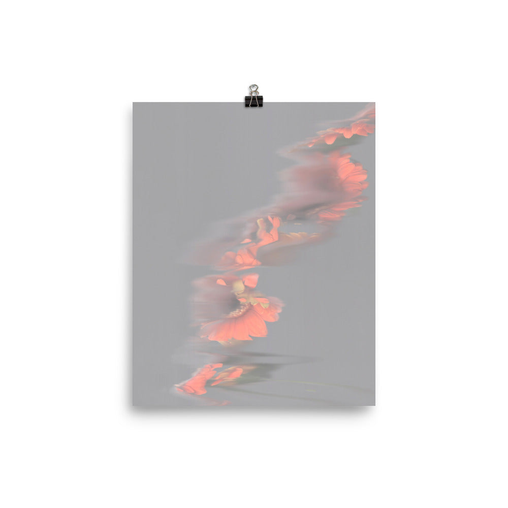 Gerbera Grey Sky Scanography Photo Paper Print