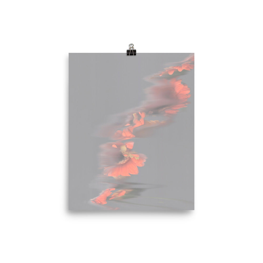 Gerbera Grey Sky Scanography Photo Paper Print